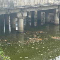 Tài nguyên môi trường - Giải pháp nào giải quyết ô nhiễm các dòng sông?