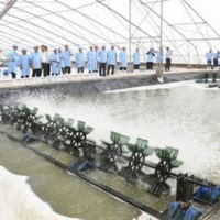 VOV - Kết nối công nghệ: Giải pháp khuyến khích ứng dụng công nghệ cao trong nuôi tôm