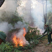 VOV - Sống chung với biến đổi khí hậu: Cảnh báo nguy cơ cháy rừng mùa khô trước tác động của biến đổi khí hậu