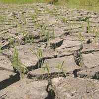 VOV - Sống chung với biến đổi khí hậu: Biến đổi khí hậu đã vượt xa so với dự báo