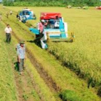 Chuyển đổi xanh - Chương trình khoa học và công nghệ phục vụ phát triển bền vững vùng Đồng bằng sông Cửu Long