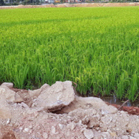 Tài nguyên môi trường - Vĩnh Phúc: Nhiều điểm nghẽn trong giải phóng mặt bằng