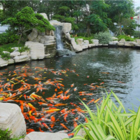 Chuyển đổi xanh - Chú trọng kinh tế xanh và bền vững để bắt kịp xu thế