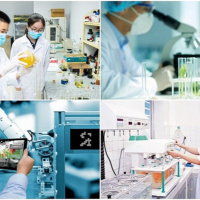 Kết nối công nghệ - Phát triển thị trường khoa học công nghệ- vì sao chưa được như kỳ vọng?