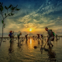 Tài nguyên môi trường: Bảo tồn các vùng đất ngập nước – Thông điệp từ các nhiếp ảnh gia 