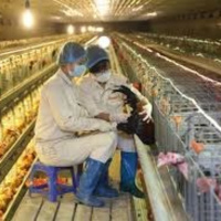 VOV - Kết nối công nghệ (27/4/2019)