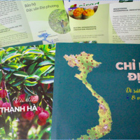 VOV - Kết nối công nghệ: Bảo hộ sở hữu trí tuệ và chỉ dẫn địa lý - giúp nâng cao giá trị hàng nông sản Việt Nam