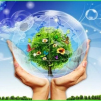 VOV - Sống chung với biến đổi khí hậu: Doanh nghiệp chủ động thích ứng với biến đổi khí hậu