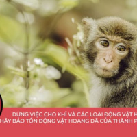 VOV - Tài nguyên môi trường: Nâng cao nhận thức về bảo vệ động vật hoang dã