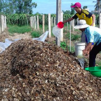 VOV - Biến đổi khí hậu: Nhiều hoạt động tích cực của thanh niên trong ứng phó với biến đổi khí hậu