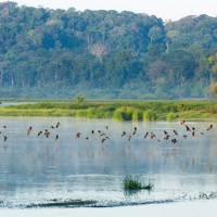 Tài nguyên môi trường: Bảo vệ giá trị đa dạng sinh học – Xây dựng 1 tương lai cho sự sống
