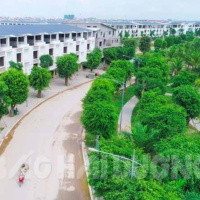 Chuyển đổi xanh - Phát triển đô thị xanh - hướng đến mục tiêu phát thải ròng bằng 0 