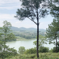 Tài nguyên môi trường - Người trồng rừng ngóng chờ thị trường tín chỉ carbon