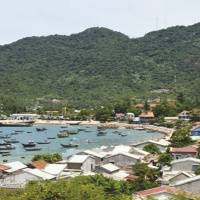 VOV - Tài nguyên và môi trường: Bảo vệ đa dạng sinh học góp phần phát triển bền vững