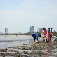 Tài nguyên môi trường - Nghệ An: Hiệu quả từ mô hình tình nguyện dọn rác, làm sạch môi trường