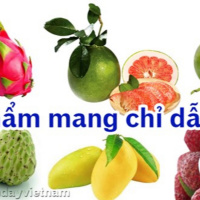 VOV - Kết nối công nghệ: “Bảo hộ chỉ dẫn địa lý – khó nhưng vẫn phải làm”