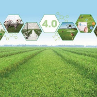 VOV - Kết nối công nghệ: Chuyển đổi số trong nông nghiệp - Cần nhân rộng những mô hình khởi nghiệp thành công của thanh niên nông thôn