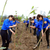 VOV - Biến đổi khí hậu: Hành động xanh - lá chắn trước biến đổi khí hậu