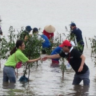 Vov - Khcn Va Môi Trng
