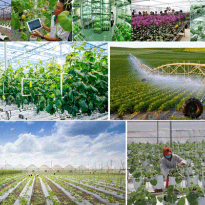 Vov - Khcn Va Môi Trng