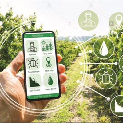 Vov - Khcn Va Môi Trng