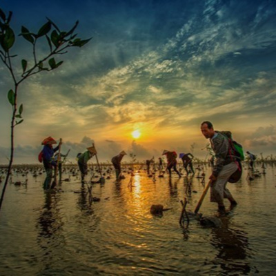 Vov - Khcn Va Môi Trng