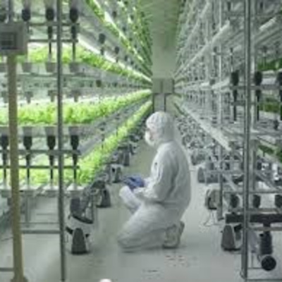 Vov - Khcn Va Môi Trng