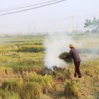 Vov - Khcn Va Môi Trng