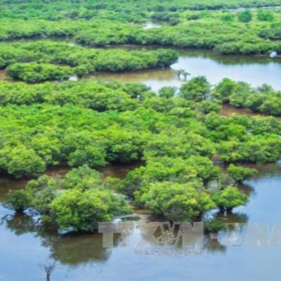 Vov - Khcn Va Môi Trng