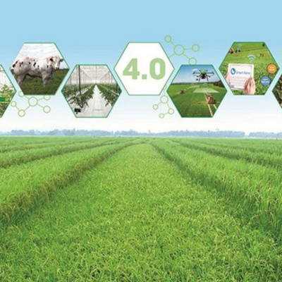 Vov - Khcn Va Môi Trng