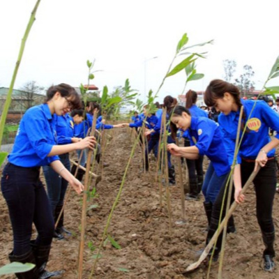 Vov - Khcn Va Môi Trng