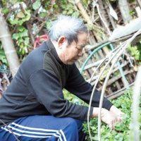 VOV - Chân dung cuộc sống: Người “giữ hương” cho làng hoa Ngọc Hà