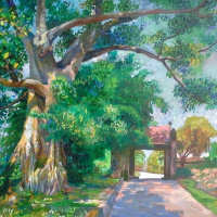 Đoản hoa: Đoạn đời của loài hoa mang tên ký ức