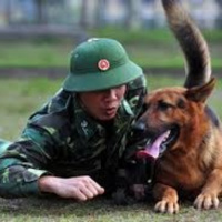 Chú chó nghiệp vụ và chiến công thầm lặng