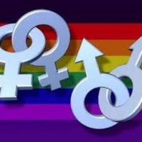 A Múi: Một câu chuyện xúc động về người đồng tính