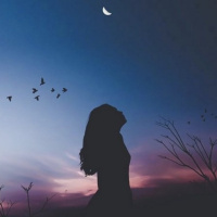 Men rượu cẩm - Khi thanh xuân bị chuốc men tình