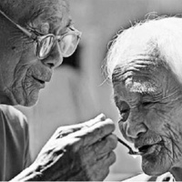 “Lữ khách” – Hồng nhan tri kỷ