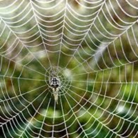 Ngổn ngang trăm mối tơ vò