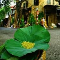 “Mùa cốm: Ký ức đẹp về mùa thu tuổi trẻ cùng hương cốm quê hương