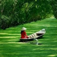 Nhịp đời buồn vui trong chùm truyện của Nguyễn Đặng Mừng