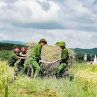 Truyện ngắn Trung du tím biếc: Tím biếc tình quân dân