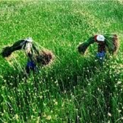 Vov - Oc Truyên Êm Khuya