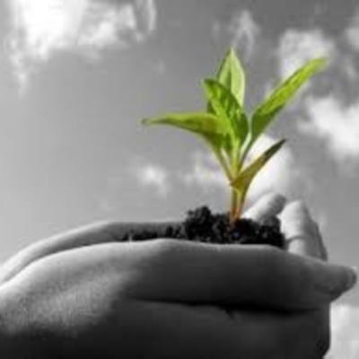 Vov - Oc Truyên Êm Khuya