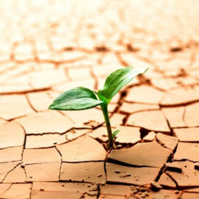 Vov - Oc Truyên Êm Khuya