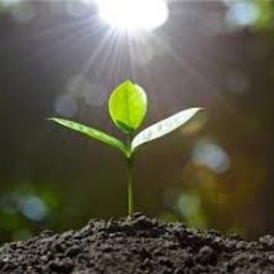 Vov - Oc Truyên Êm Khuya