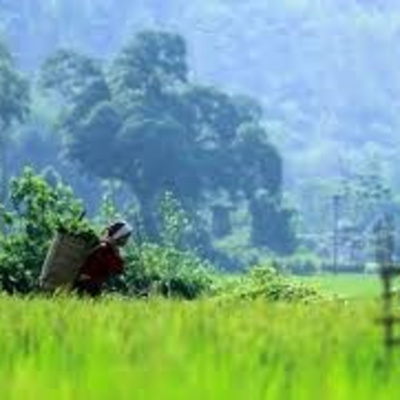 Vov - Oc Truyên Êm Khuya