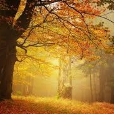 Vov - Oc Truyên Êm Khuya