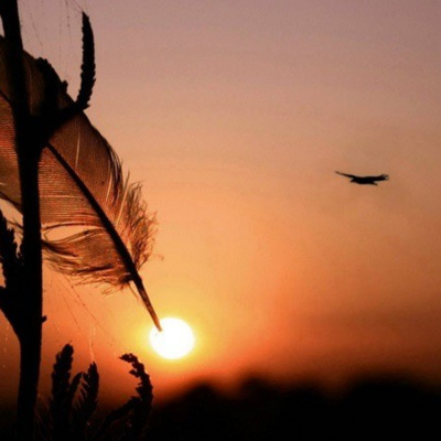 Vov - Oc Truyên Êm Khuya