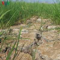 VOV - Thời sự 18h (23/9/2020)