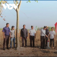 Thời sự 6h 13/3/2025: Nhiều hộ dân tiên phong giao đất cho cao tốc tp HCM – Thủ Dầu Một – Chơn Thành